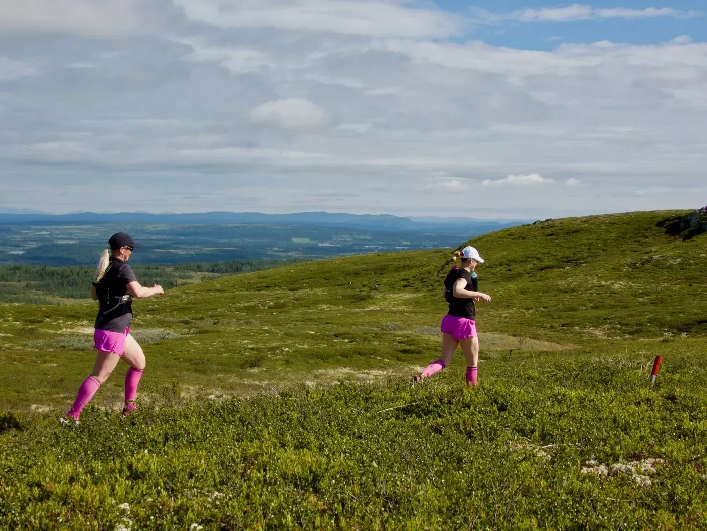 Løpere og fjellterreng i Synnfjellet