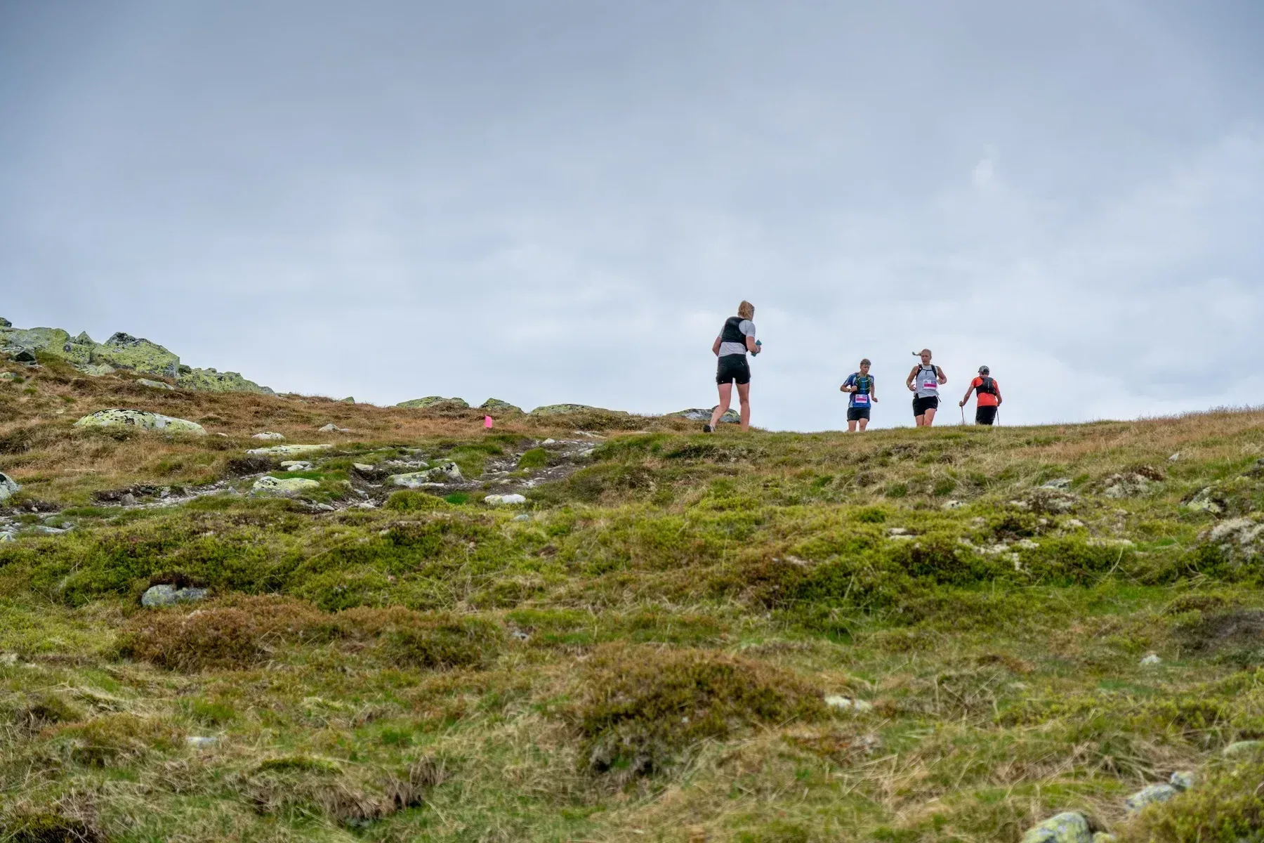 Fire løpere på vei over en gresskledd fjellrygg.